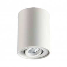 3564/1C ODL18 185 белый Потолочный накладной светильник IP20 GU10 1*50W 220V PILLARON
