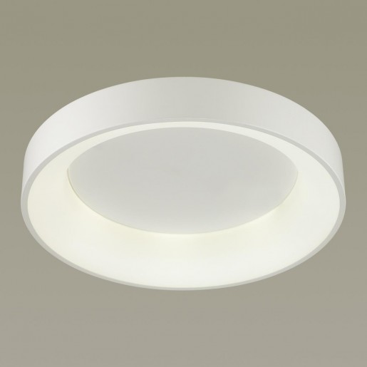4062/50CL ODL19 89 белый/серый Люстра потолочная с ДУ LED 50W 220V SOLE