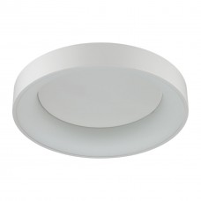 4062/50CL ODL19 89 белый/серый Люстра потолочная с ДУ LED 50W 220V SOLE