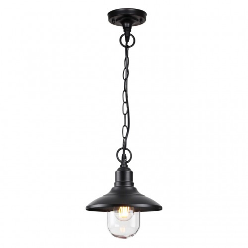 4965/1 NATURE ODL22 579 черный/стекло Ландшафтный подвес E27 1*60W IP44 CAMPA